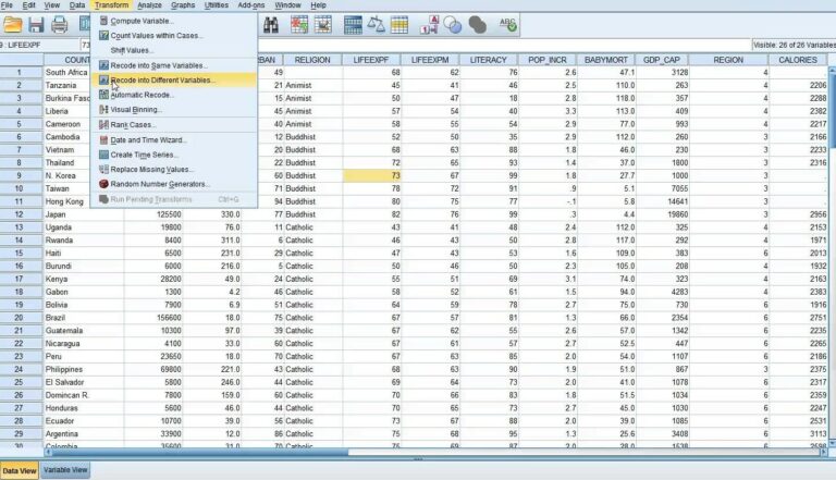 Spss Auswertung